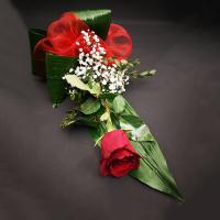 amore-unico-2026-1